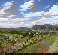 Hunter Valley Wine Tour from Sydney incl Lunch Cheese Chocolate and Distillery - Pet Food Australia