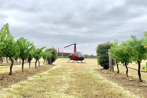 Private Helicopter Flight To Hunter Valley With A La Carte Lunch - For 2 - Food Delivery Shop 4