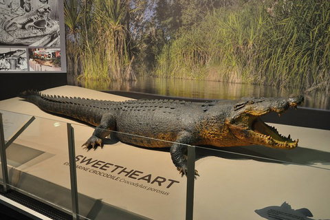 Explore Darwin City Sights Including Key Attractions - Food Delivery Shop 2