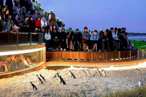 Great Ocean Road & Phillip Island - 3 Days, 2 Nights - Food Delivery Shop 0