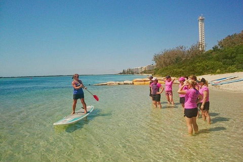 Golden Beach 1-Hour Stand-Up Paddleboard Hire On The Sunshine Coast - Food Delivery Shop 1