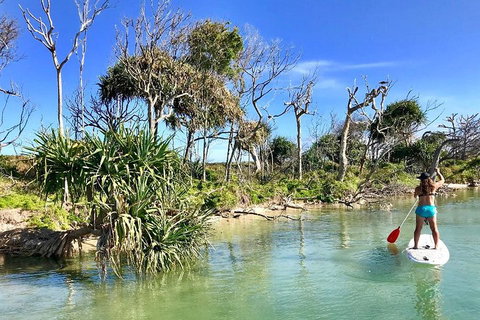 Golden Beach 1-Hour Stand-Up Paddleboard Hire On The Sunshine Coast - Food Delivery Shop 5