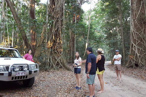Great Beach Drive 4WD Tour - Private Charter From Noosa To Rainbow Beach - Food Delivery Shop 1