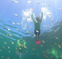 Manly Snorkel Trip and Nature Walk with Local Guide - Food Delivery Shop