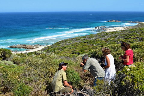 Margaret River Coastal And Wildlife Eco Trip From Busselton Or Dunsborough - Food Delivery Shop 2