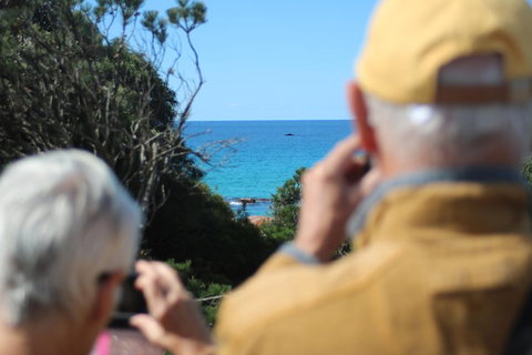 Margaret River Coastal And Wildlife Eco Trip From Busselton Or Dunsborough - Food Delivery Shop 5